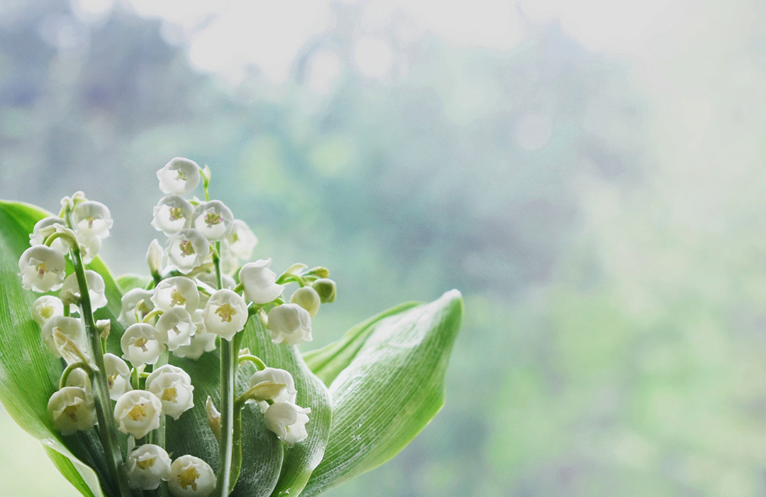 マルチカラー スズラン グリーン系 天然石 パヴェ K10 K18 プラチナ リング Bizoux ビズー公式